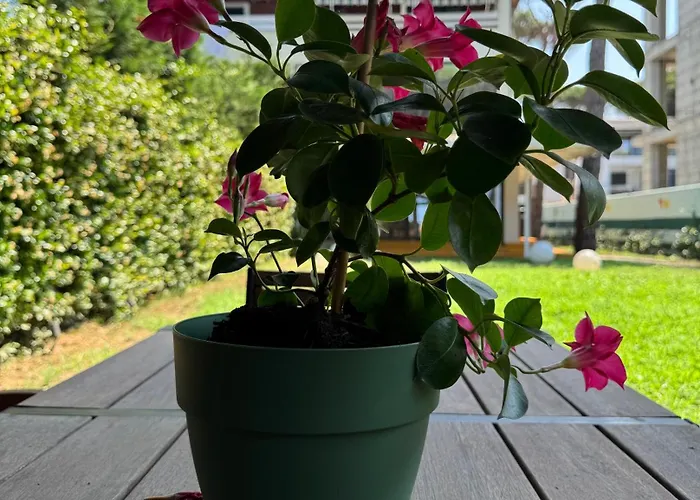 Casa Dei Pini Blu Голем