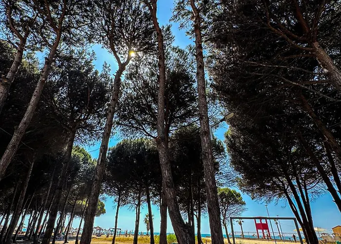 Casa Dei Pini Blu Feriehus Golem (Tirana)